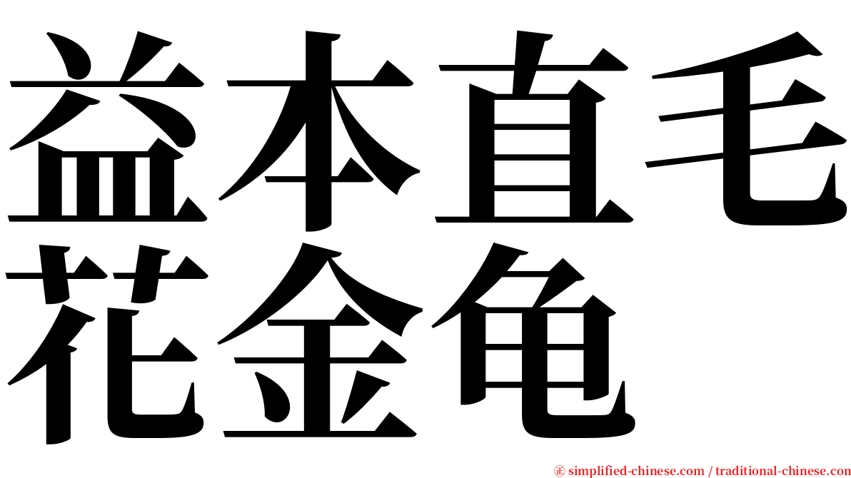 益本直毛花金龟 serif font