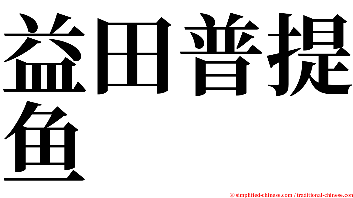 益田普提鱼 serif font