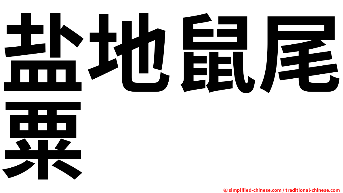 盐地鼠尾粟
