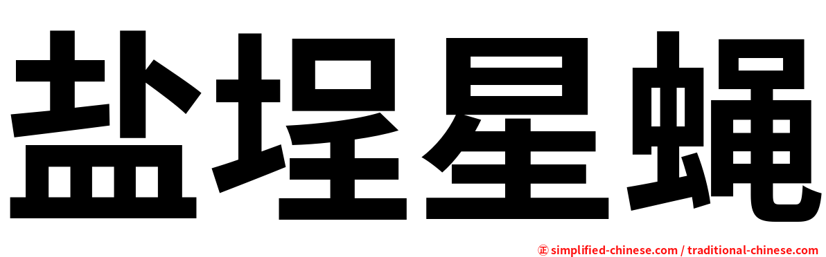 盐埕星蝇