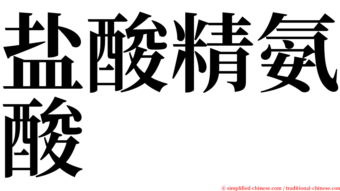 盐酸精氨酸 serif font