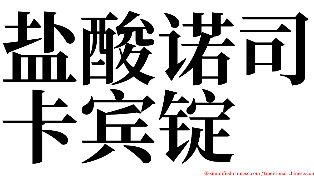盐酸诺司卡宾锭 serif font