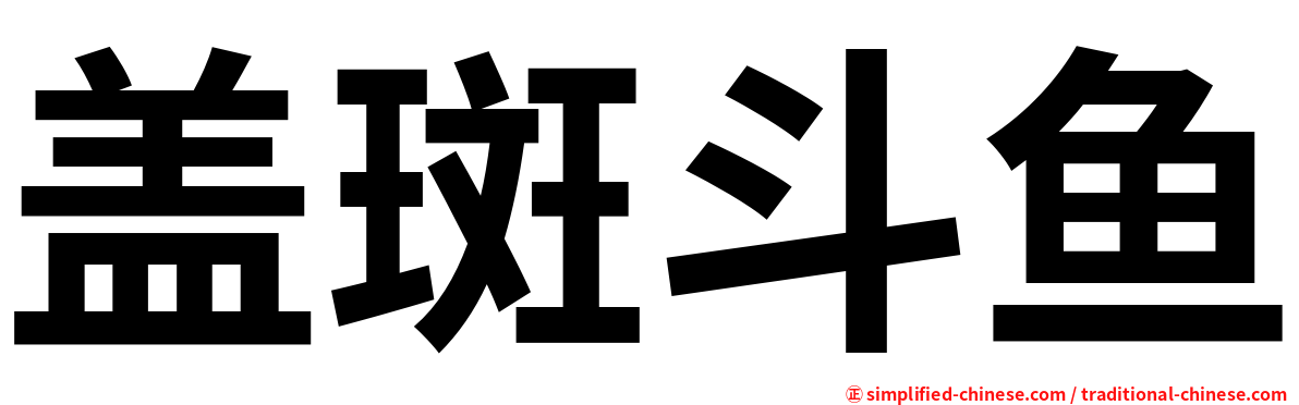 盖斑斗鱼