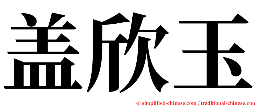 盖欣玉 serif font
