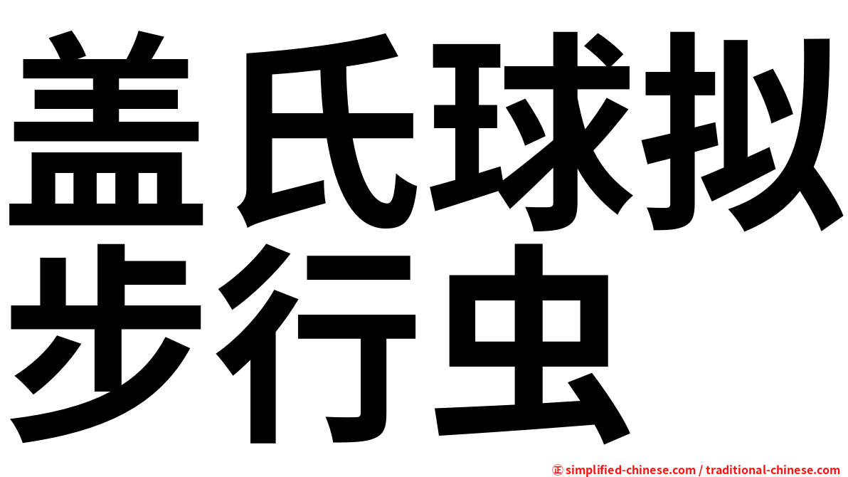盖氏球拟步行虫