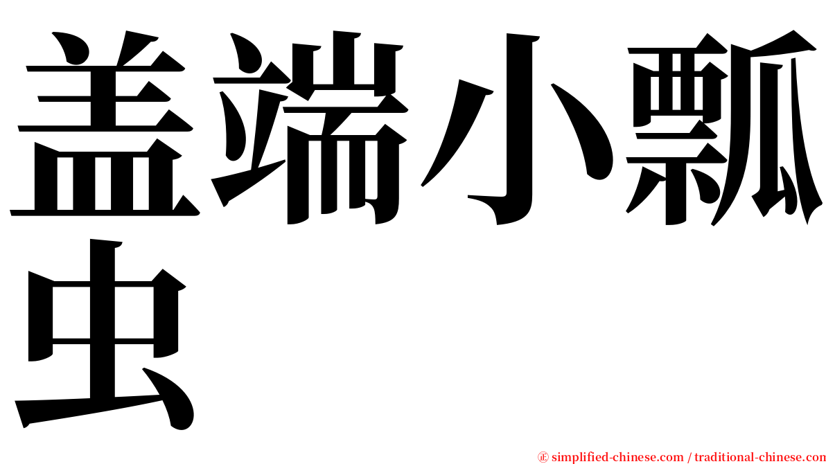 盖端小瓢虫 serif font