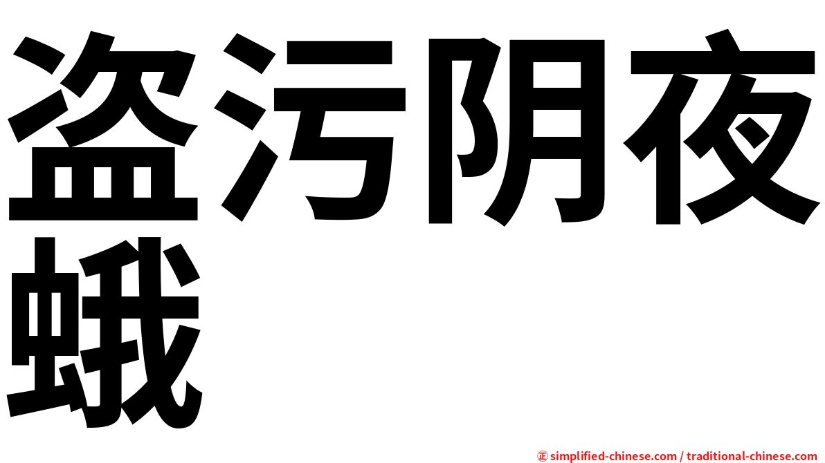 盗污阴夜蛾