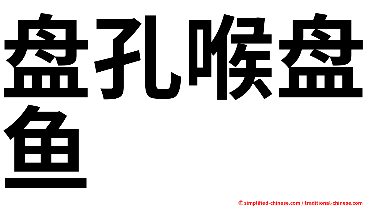 盘孔喉盘鱼
