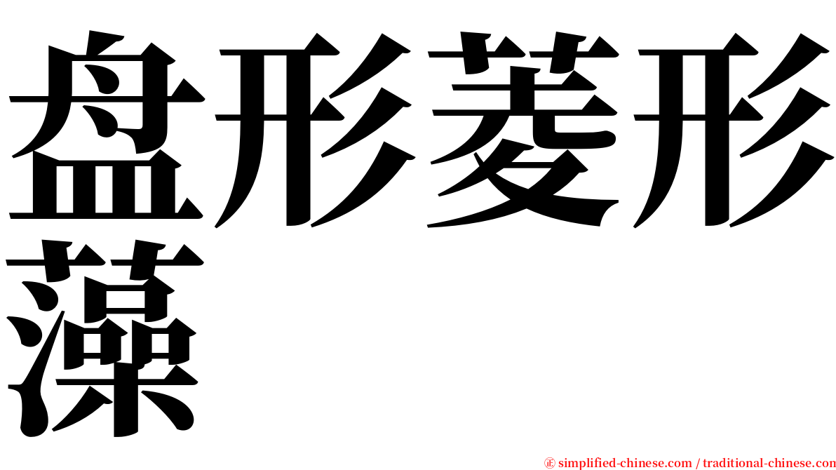 盘形菱形藻 serif font