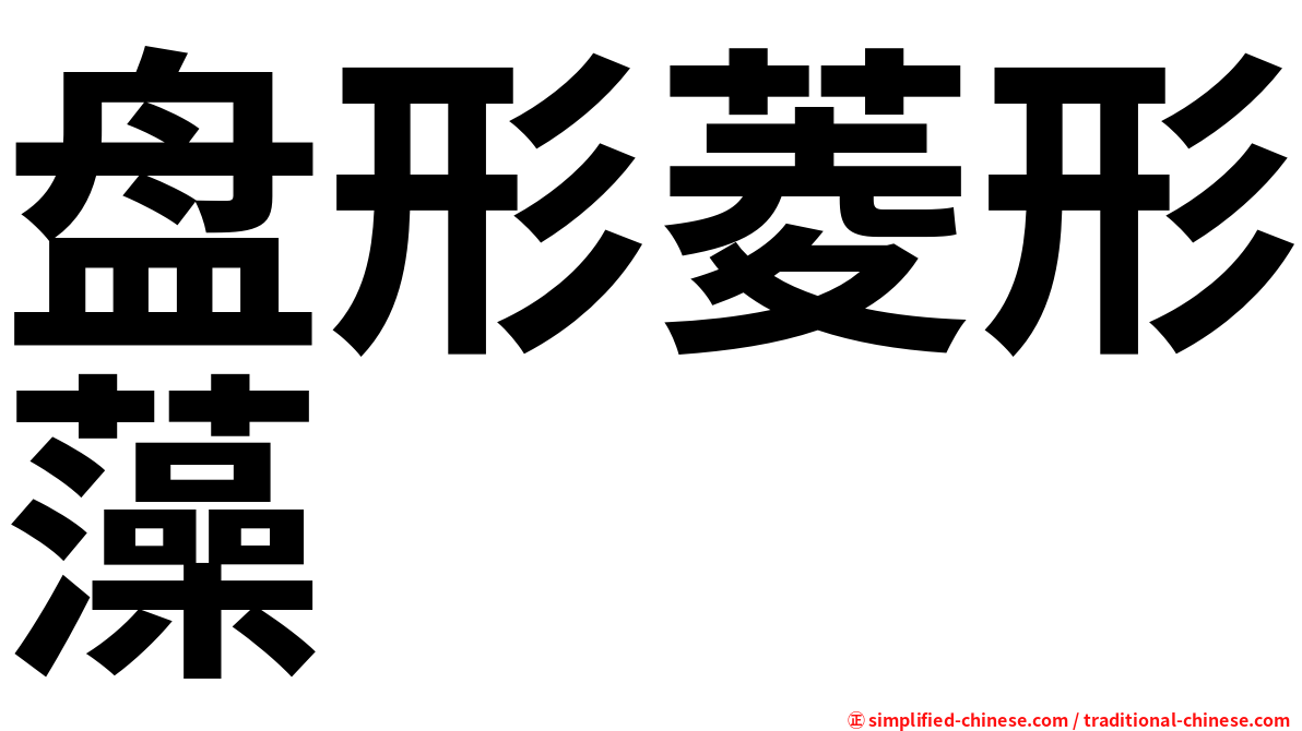 盘形菱形藻