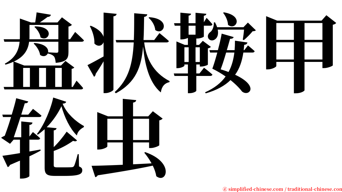 盘状鞍甲轮虫 serif font