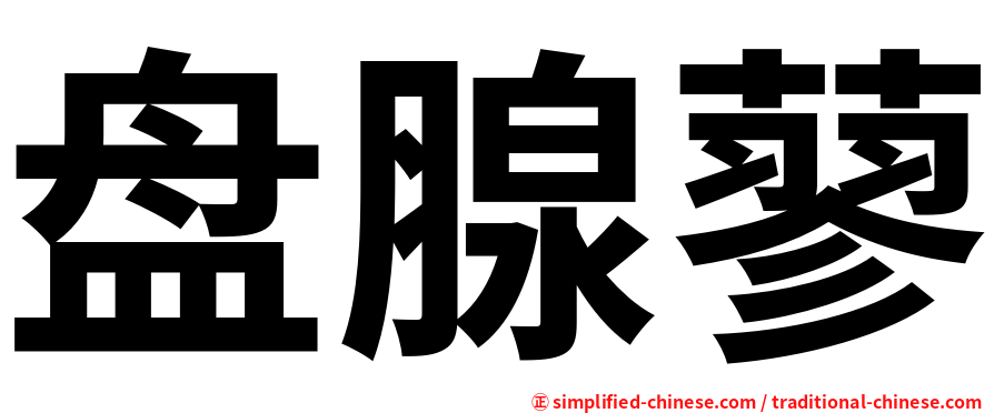 盘腺蓼