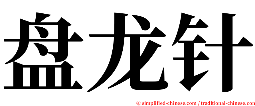 盘龙针 serif font