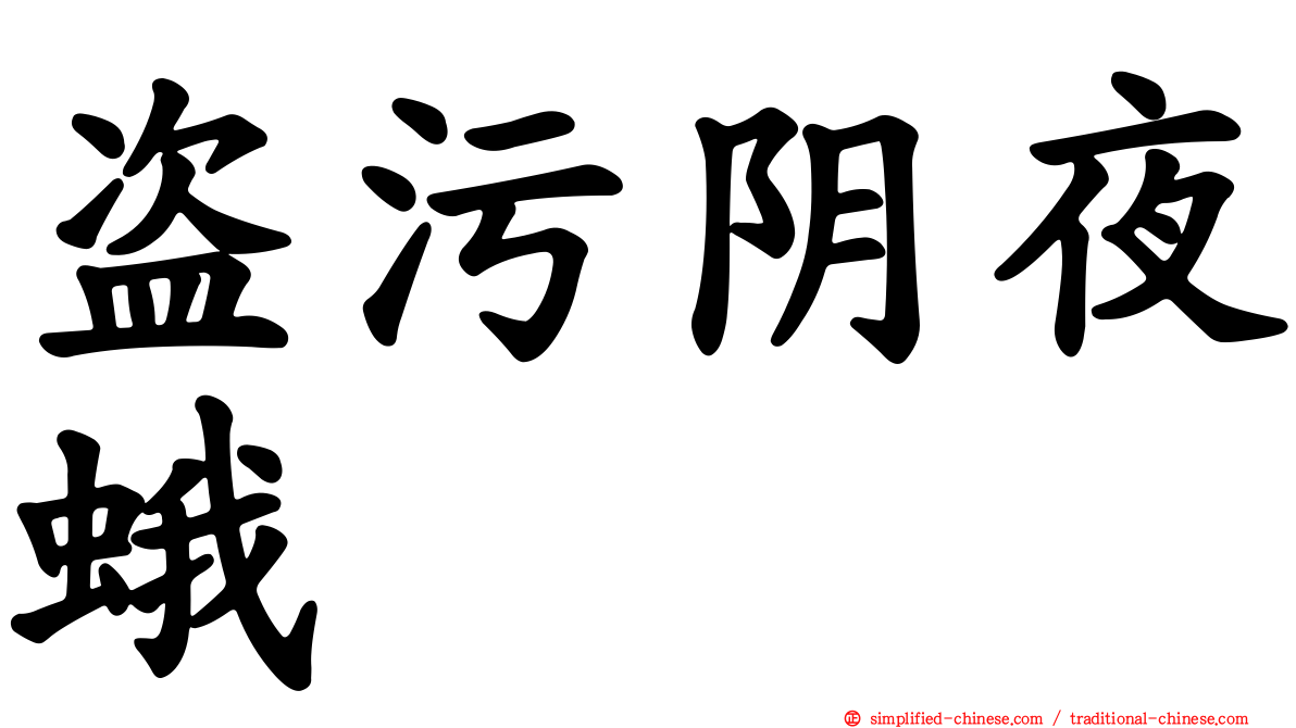 盗污阴夜蛾