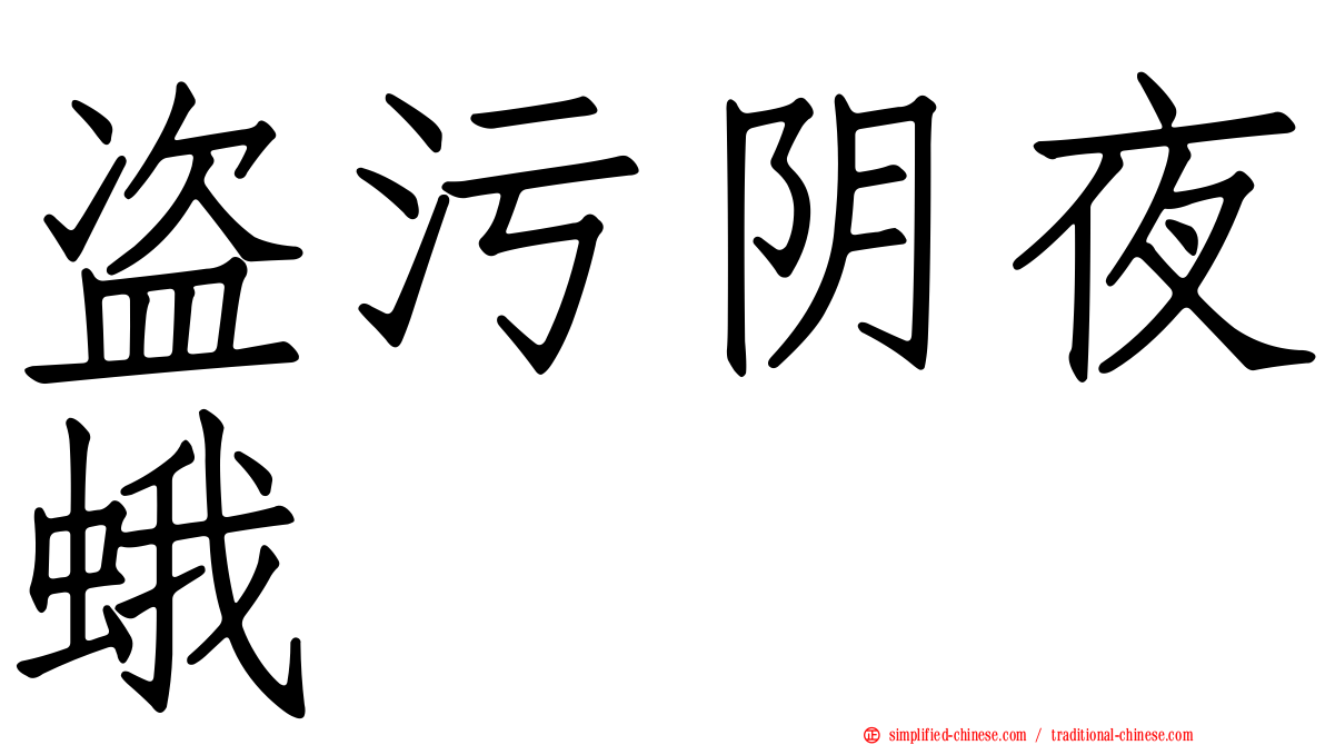 盗污阴夜蛾