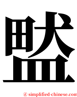 盢 serif font