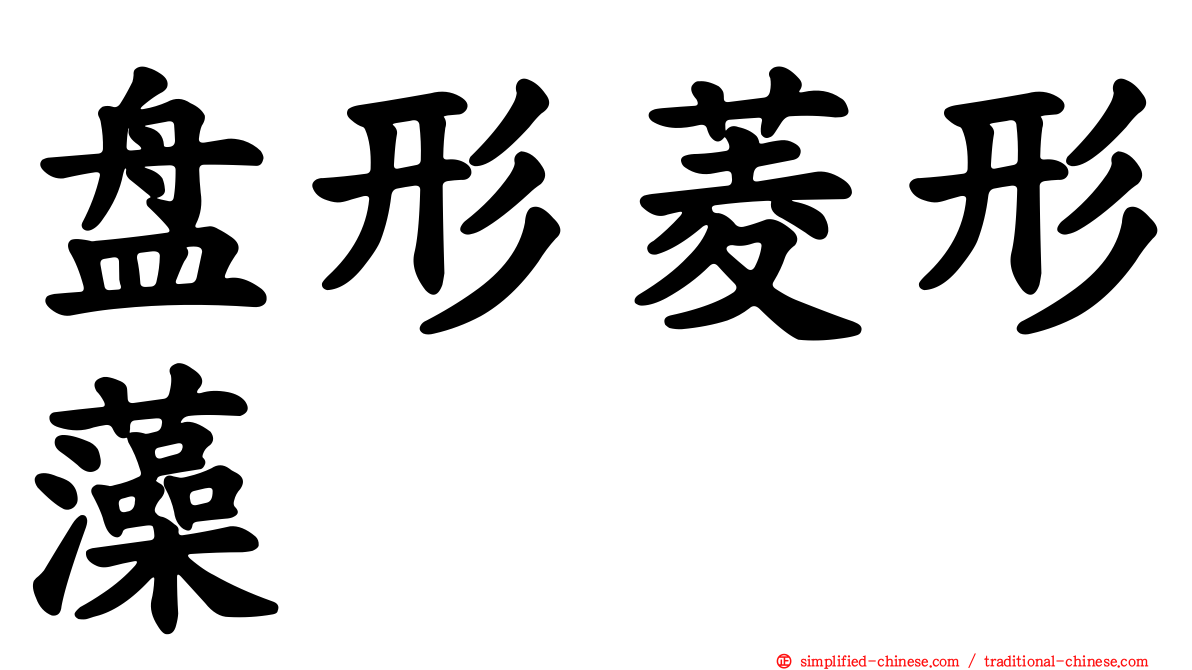 盘形菱形藻