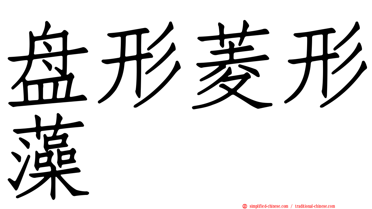 盘形菱形藻