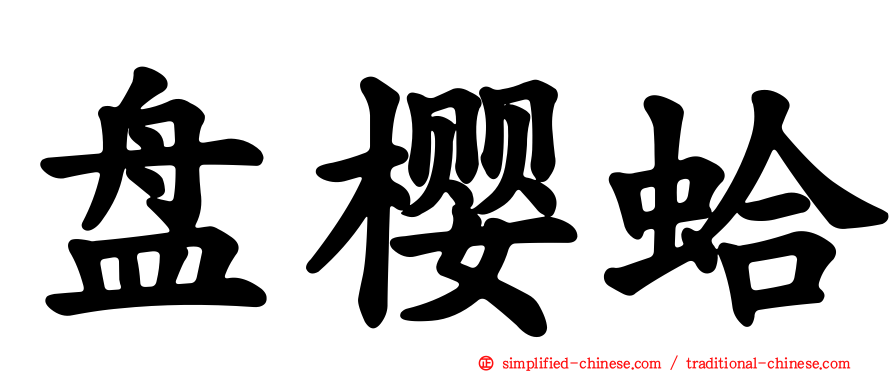 盘樱蛤