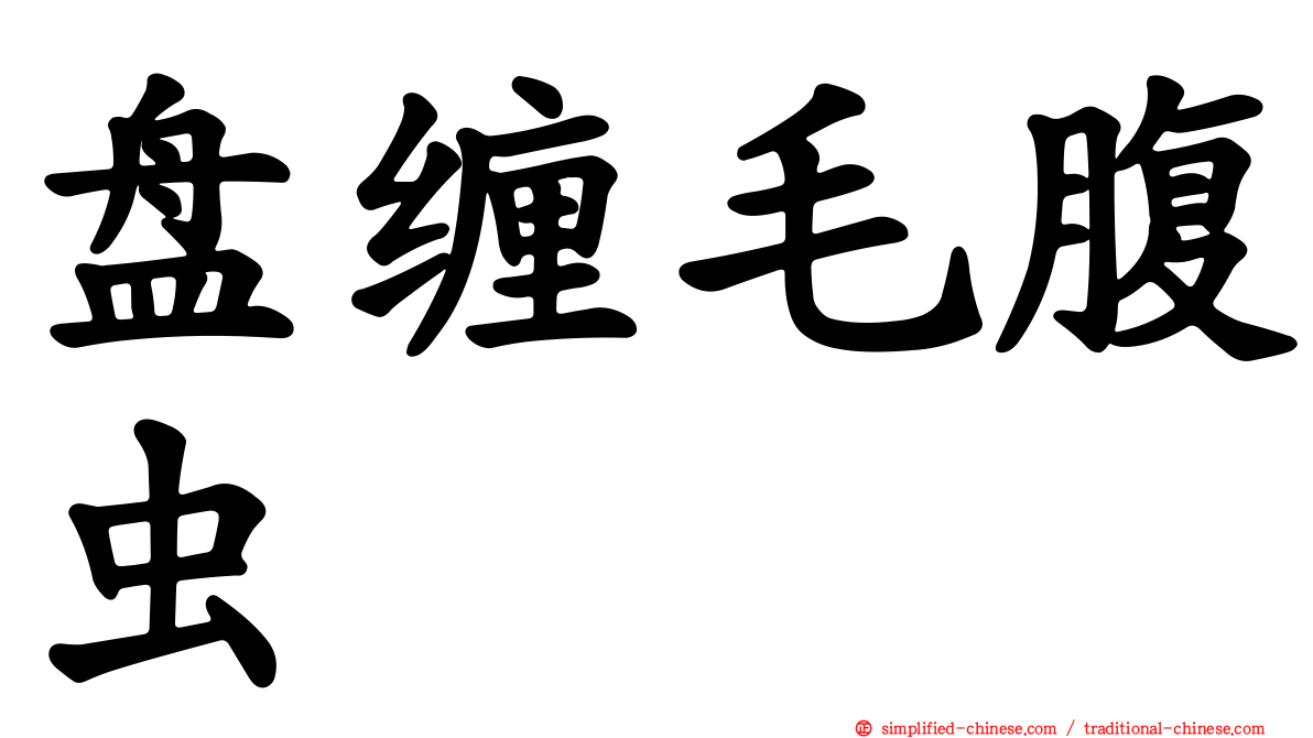 盘缠毛腹虫
