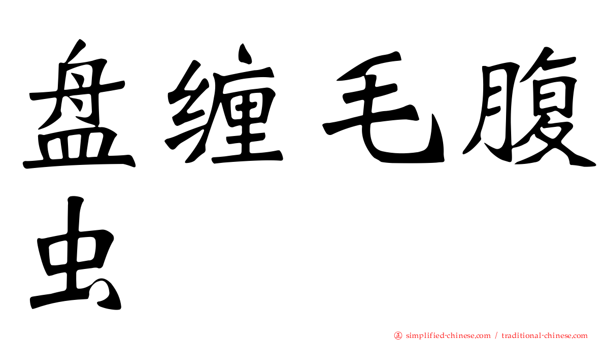 盘缠毛腹虫