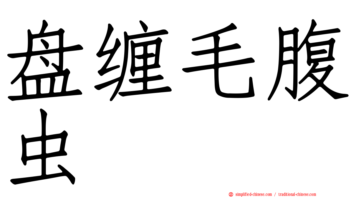 盘缠毛腹虫