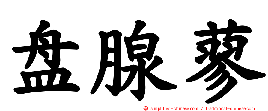盘腺蓼
