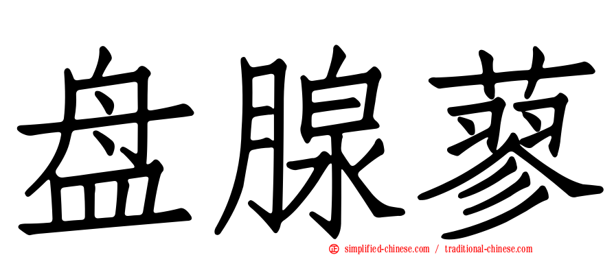 盘腺蓼