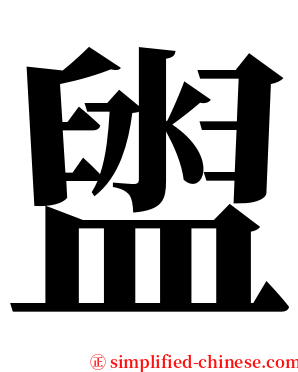 盥 serif font