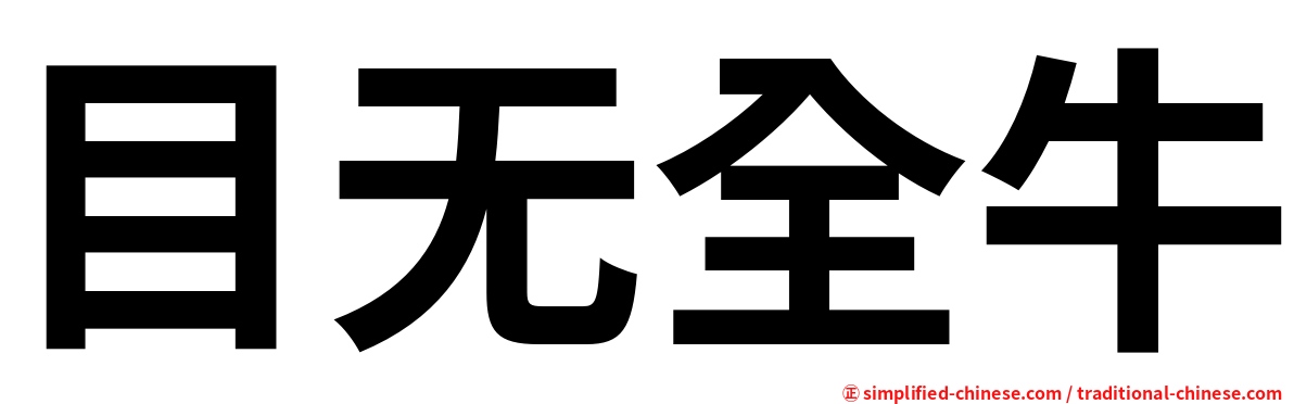 目无全牛