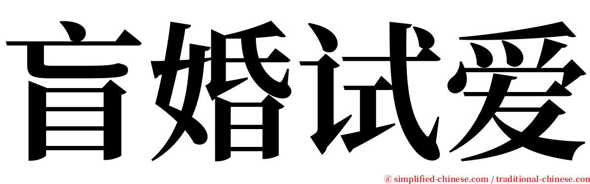 盲婚试爱 serif font