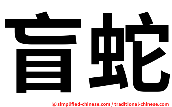 盲蛇