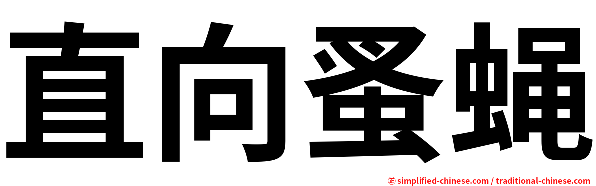 直向蚤蝇