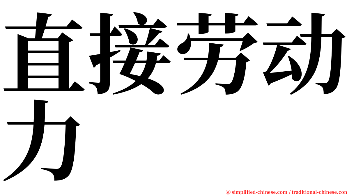 直接劳动力 serif font