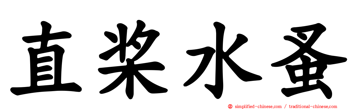 直桨水蚤