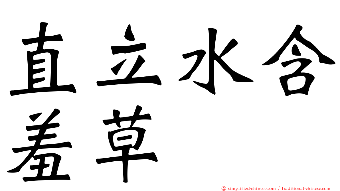 直立水含羞草
