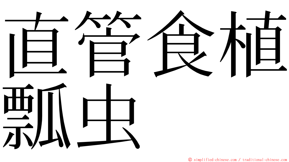 直管食植瓢虫 ming font