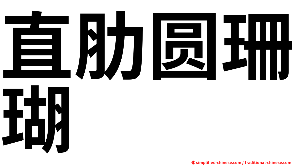 直肋圆珊瑚