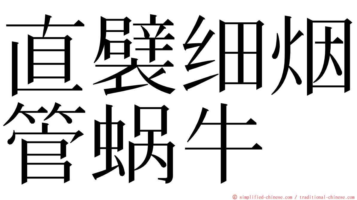 直襞细烟管蜗牛 ming font