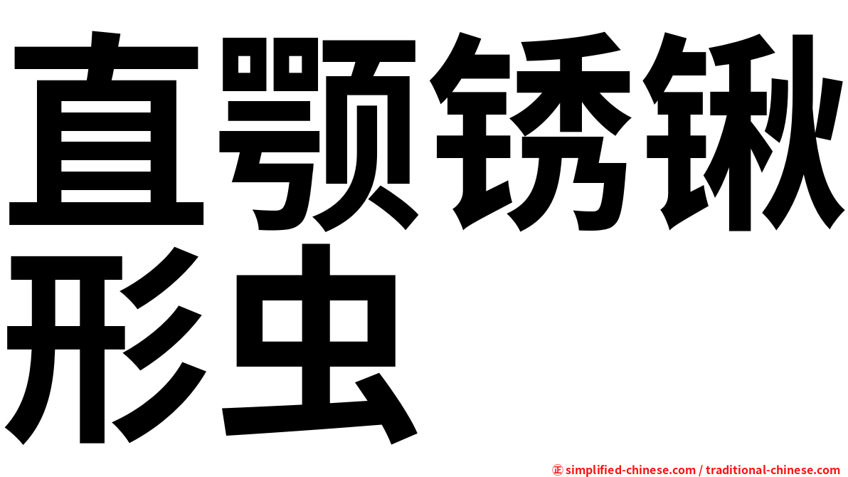 直颚锈锹形虫