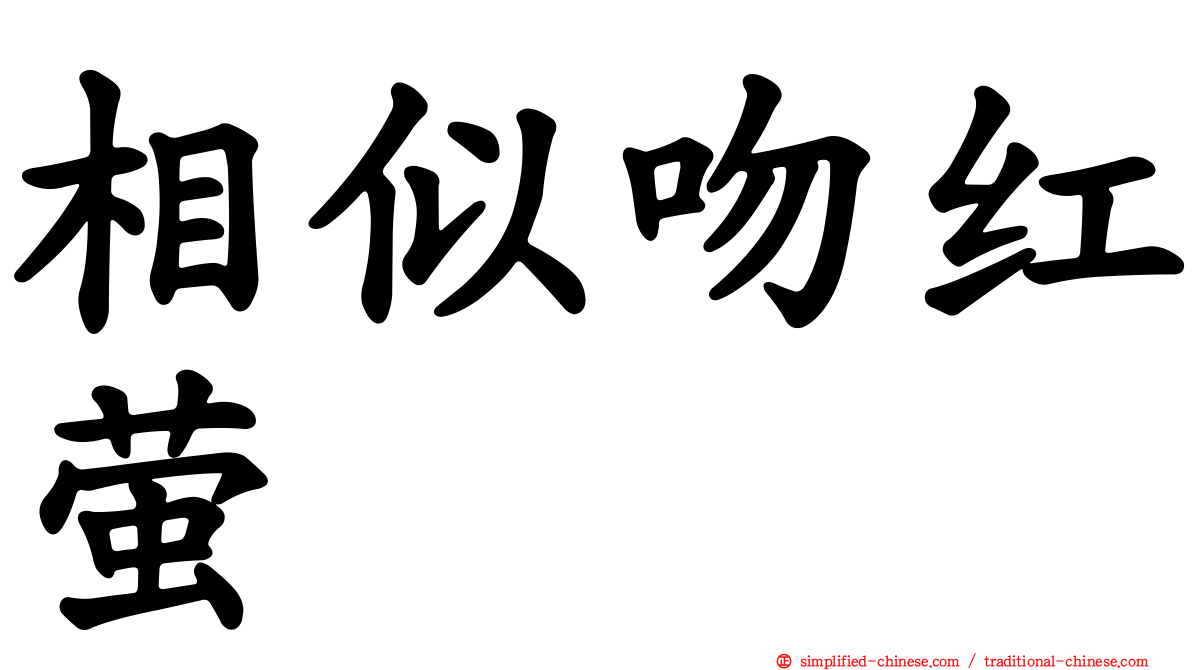 相似吻红萤