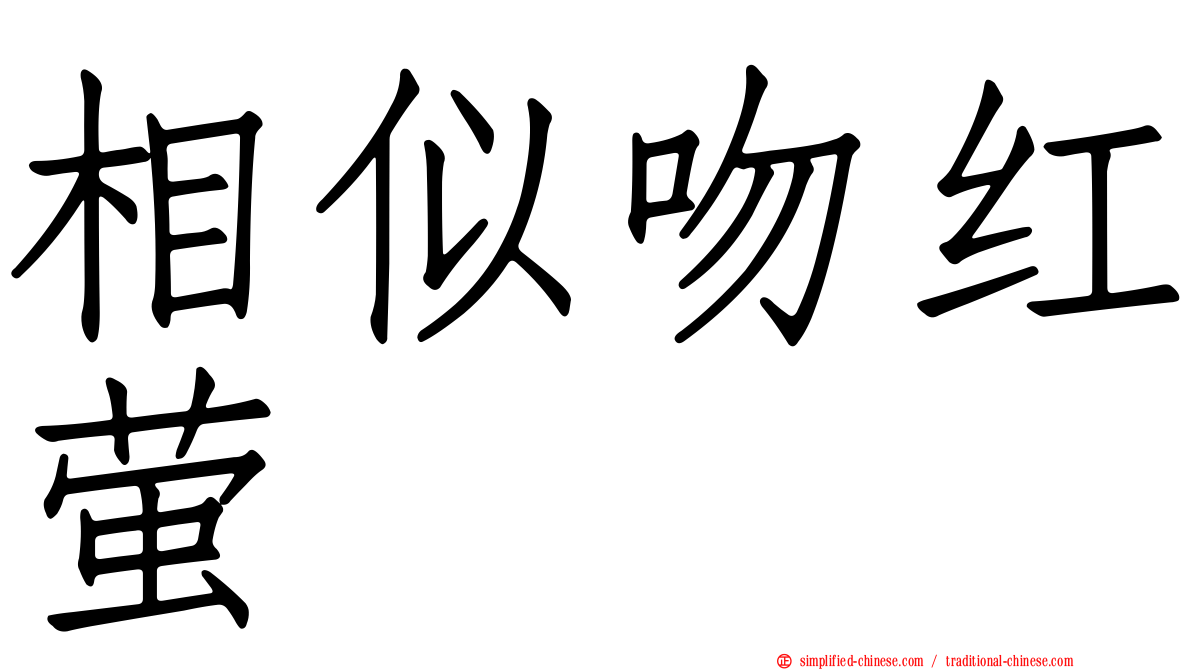 相似吻红萤