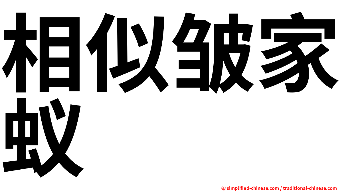 相似皱家蚁