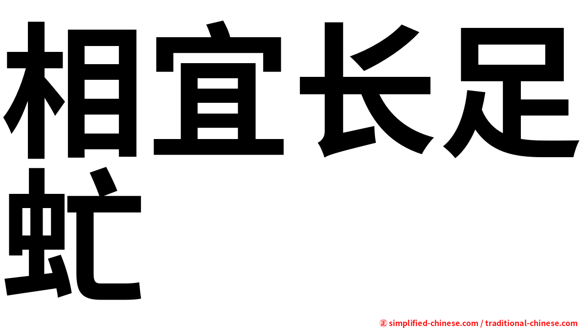 相宜长足虻