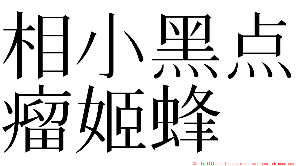 相小黑点瘤姬蜂 ming font