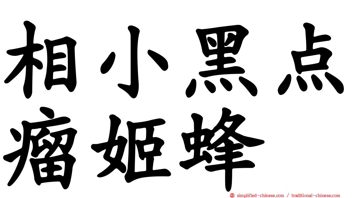 相小黑点瘤姬蜂