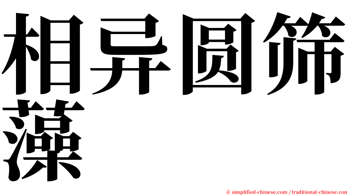 相异圆筛藻 serif font