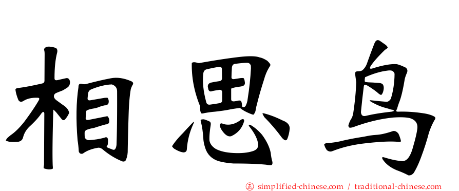 相思鸟
