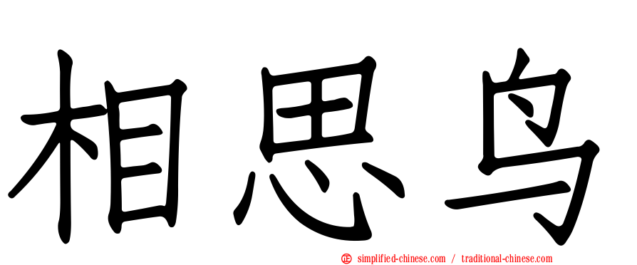 相思鸟