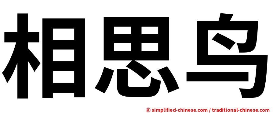 相思鸟